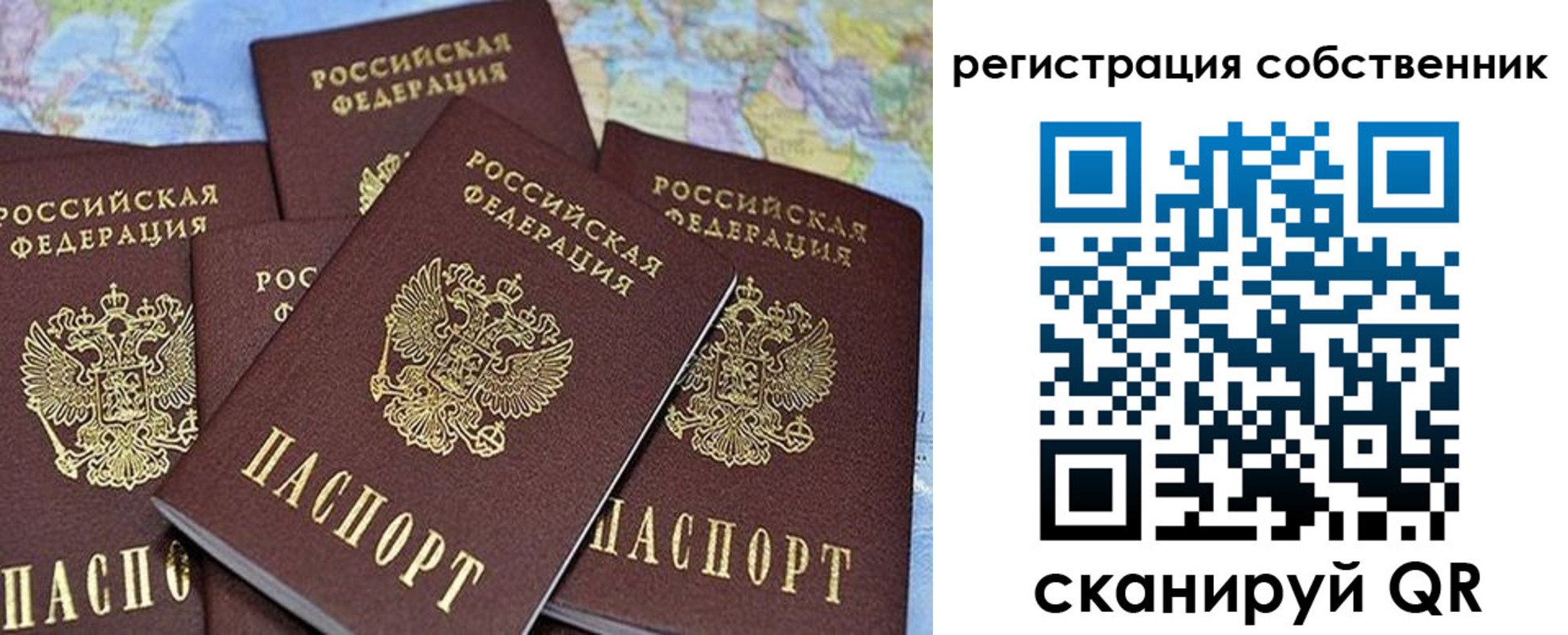 прописка для школы в Ардоне